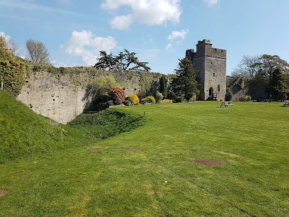Caldicot Castle Playground