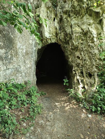 Giant's Cave